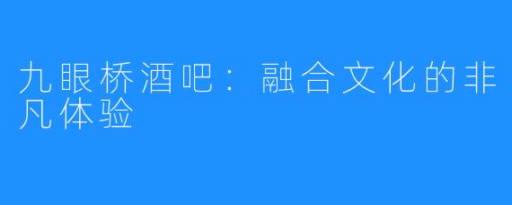 九眼桥酒吧:融合文化的非凡体验
