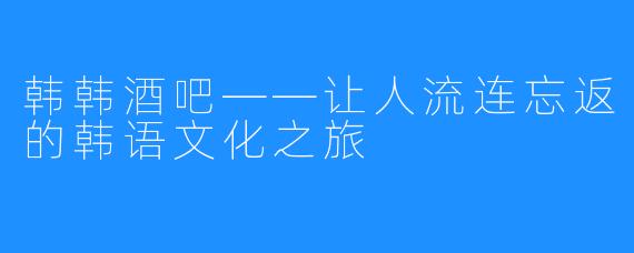 韩韩酒吧——让人流连忘返的韩语文化之旅 