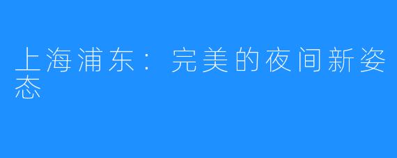 上海浦东:完美的夜间新姿态