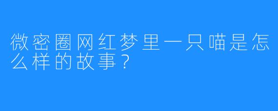 微密圈网红梦里一只喵是怎么样的故事？