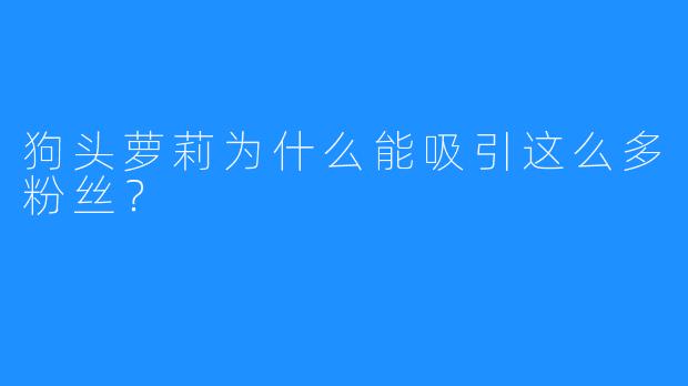 狗头萝莉为什么能吸引这么多粉丝?