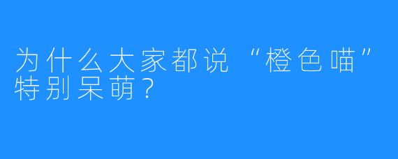 为什么大家都说“橙色喵”特别呆萌？