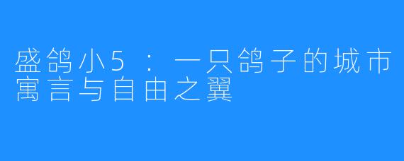 盛鸽小5：一只鸽子的城市寓言与自由之翼