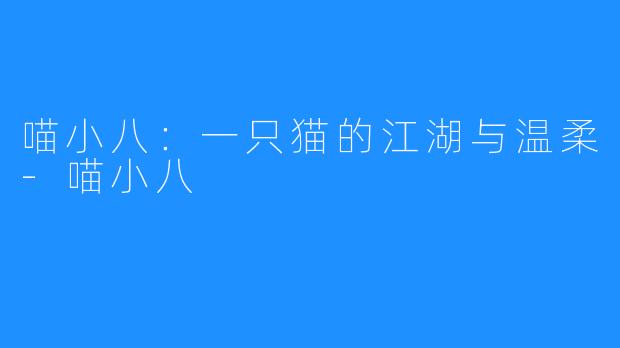喵小八:一只猫的江湖与温柔-喵小八