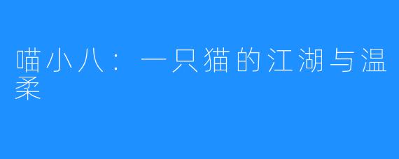 喵小八:一只猫的江湖与温柔