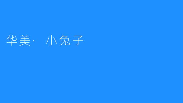 华美·小兔子