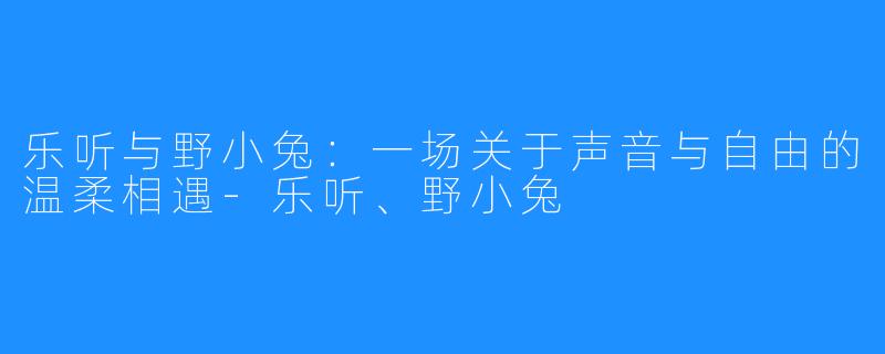 乐听与野小兔:一场关于声音与自由的温柔相遇-乐听、野小兔