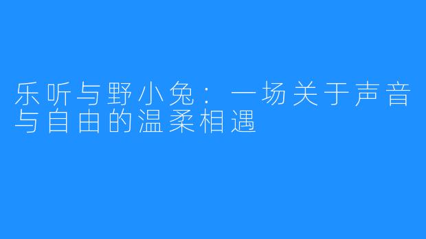 乐听与野小兔：一场关于声音与自由的温柔相遇
