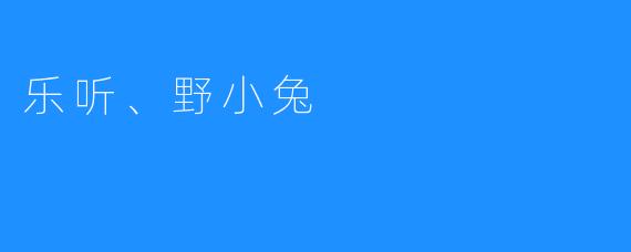 乐听、野小兔